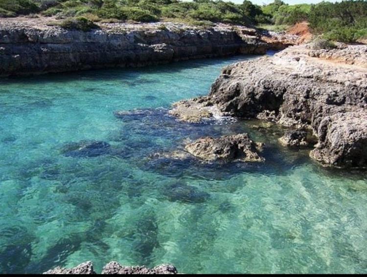Villa Giovanna Villanova di Ostuni Dış mekan fotoğraf